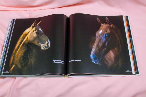 Книга-альбом про Ахалтекинцев, лошади, Туркмения в Москве фото 11