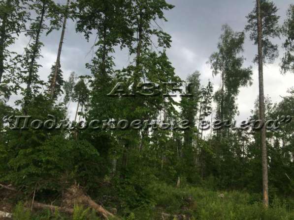 realty_mapper3.plot_in_locationИндивидуальное жилищное ст-во. Площадь 9.00 сот.Есть Водопровод.