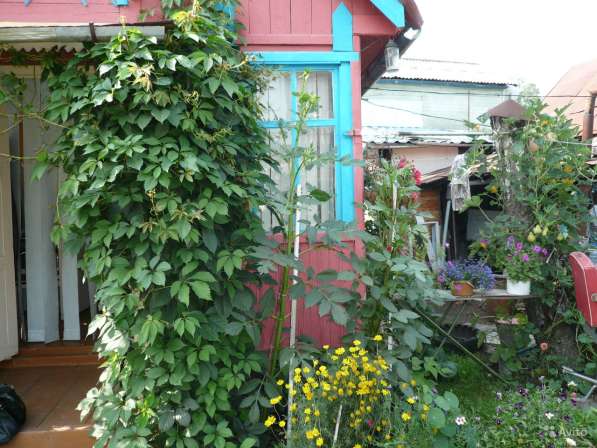 Дача 42 м² на участке 4.2 сот в Новосибирске фото 3