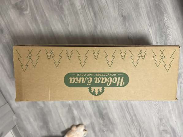 Ель в Туле фото 4