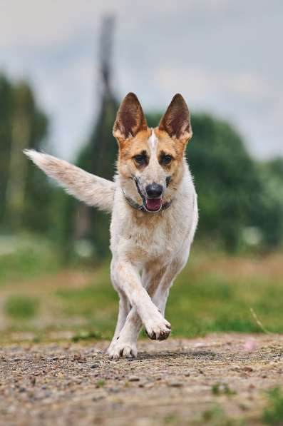 Луна: возраст 1,5 г