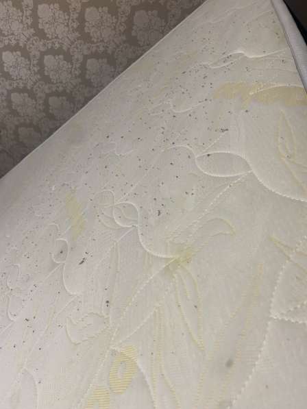 Матрас двуспальный в Брянске