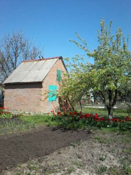 Продается дача в экологически чистом месте в Таганроге
