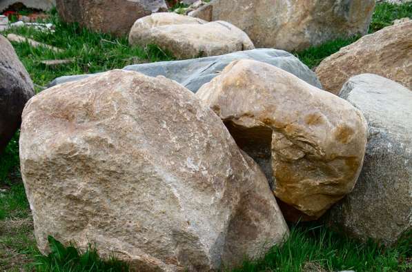 Природный камень для ландшафта. Корни дерева в Краснодаре фото 8