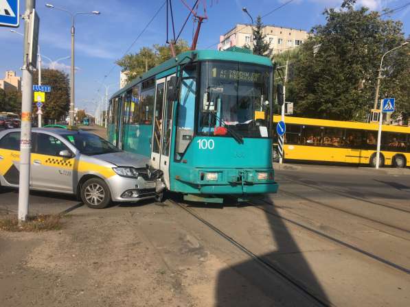 Котята в дар в 