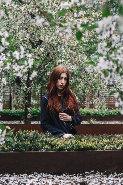 Фотодни в цветущем саду в Коломенском в Москве фото 3