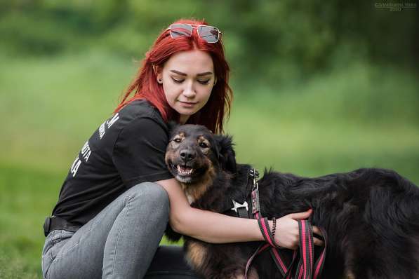 Собака-терапевт Пайпер ищет семью в Москве фото 17