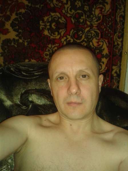 Владимир, 44 года, хочет пообщаться