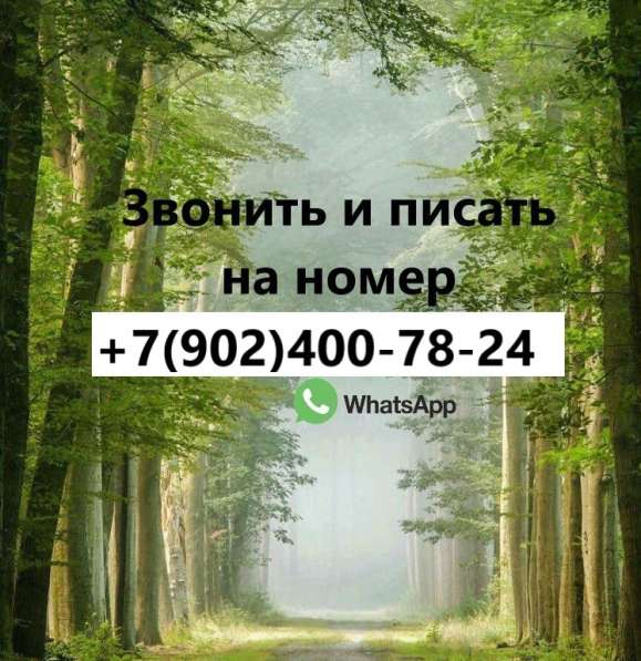 Сдам однокомнатную квартиру в Краснознаменске, Октябрьская 9 в Краснознаменске фото 5