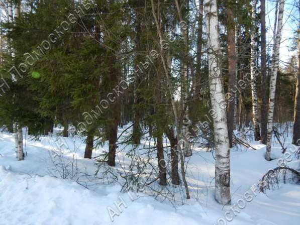 realty_mapper3.plot_in_locationИндивидуальное жилищное ст-во. Есть Электричество, Газ. в Москве