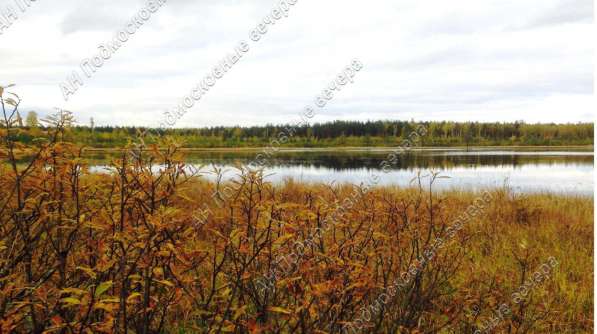 realty_mapper3.plot_in_locationСадовое некоммерческое тов-во. Площадь 6.00 сот.Есть Электричество. в Москве фото 14