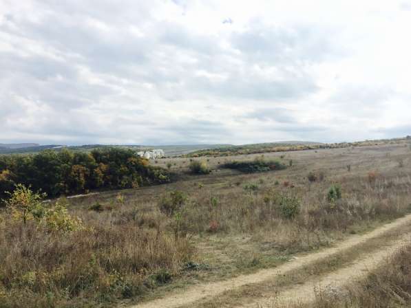 Продается 45 га с/х земли в Бахчисарае фото 6