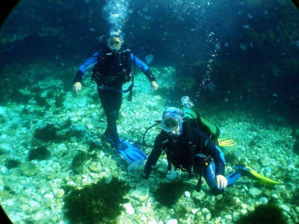 Дайвинг. Обучение дайвингу в Евпатории фото 11