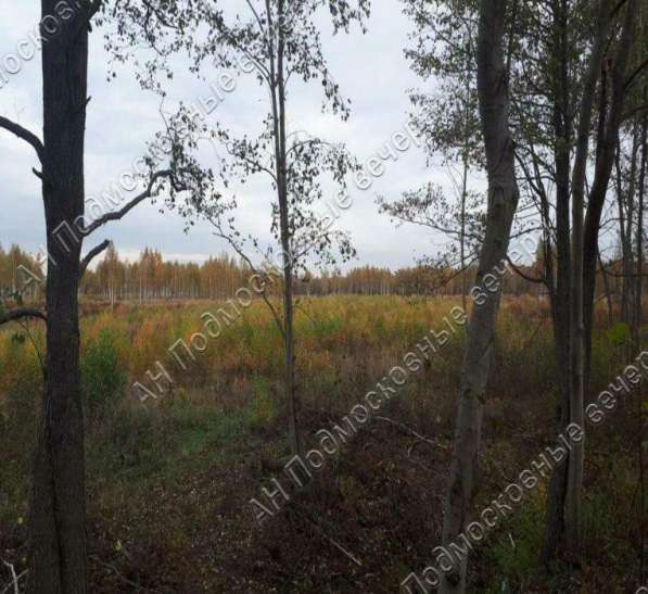 realty_mapper3.plot_in_locationИндивидуальное жилищное ст-во. Площадь 12.00 сот.Есть Электричество. в Москве фото 19