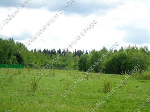 realty_mapper3.plot_in_locationПлощадь 253.00 сот.Есть Электричество, Газ.