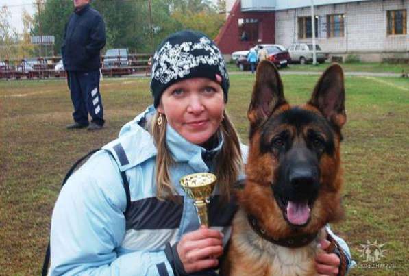 Щенки немецкой овчарки в Сарапуле фото 5