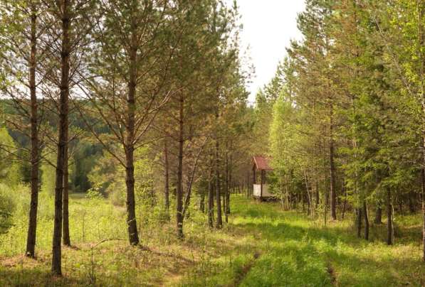 База отдыха с Акваторией в Красноярске фото 10