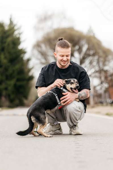 Маленькая собачка Дора в дар в Москве фото 6