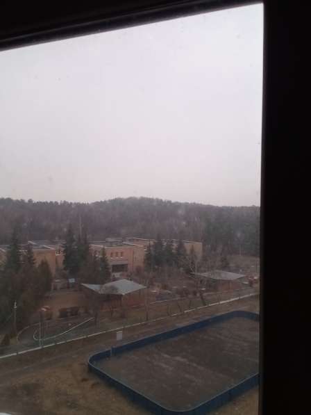 Классная, уютная, толстостенная квартира, био, ЭКО пейзаж в Москве