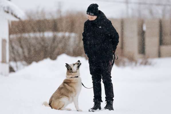 Суперактивная Халва в Москве фото 20