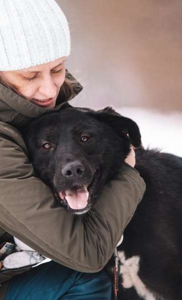 Самый обаятельный и позитивный пес Вокер ищет дом! в Москве фото 4