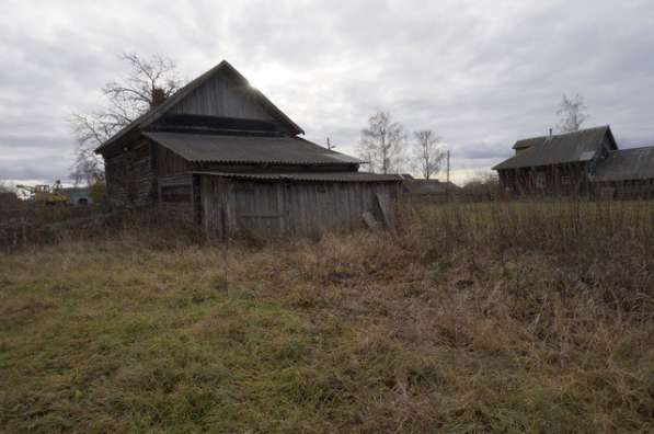 Бревенчатый дом в тихой деревне, недалеко от речки в Угличе фото 19