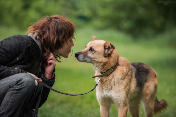 Харизматичный Марк ищет дом в Москве фото 25