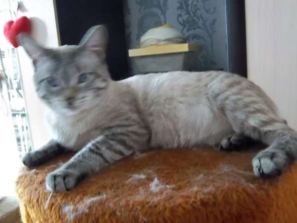 Маруся и Ванечка в фото 6