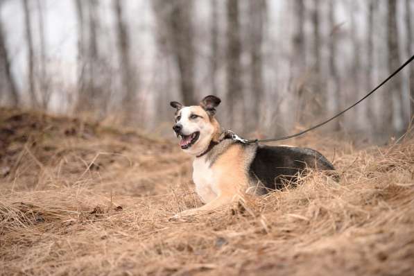Молодой энергичный Майор ищет семью в Москве фото 62
