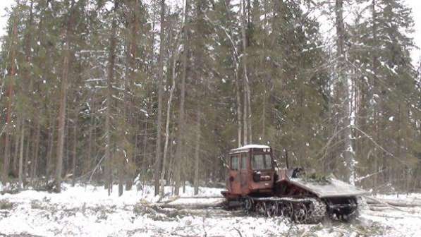 Лесозаготовительная база в Костромской области в Краснодаре фото 5