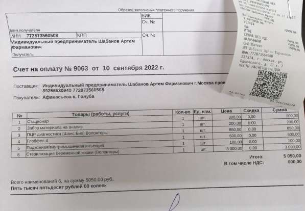 Сос! Кошечку выкинули на улицу в Москве фото 33