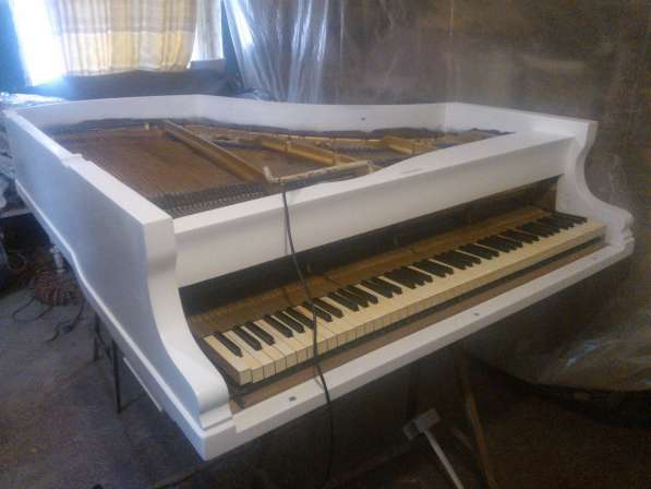 Настройка фортепиано(пианино и роялей) в фото 3