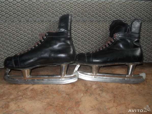 Коньки в Москве фото 5