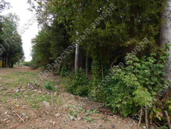 realty_mapper3.plot_in_locationИндивидуальное жилищное ст-во. Есть Электричество, Газ.