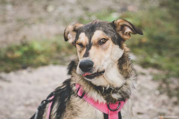 Нежнющий Купер в Москве фото 28