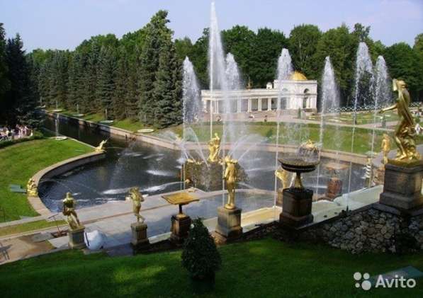 Белые ночи Санкт-Петербурга автобусом из Москвы в Москве фото 3