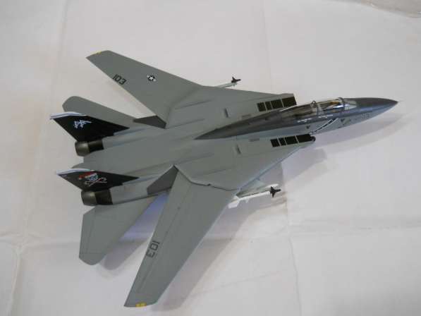 Easy Model F-14D Super Tomcat