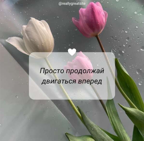 Нужен помощник HR менеджера