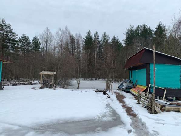 Дом посуточно в Санкт-Петербурге