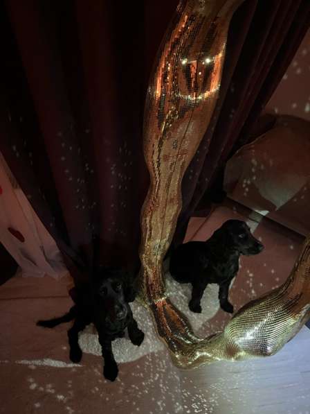 Диско-зеркало напольное в Москве фото 5