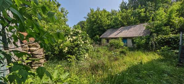 Продам дом по ул. Островского в Елеце