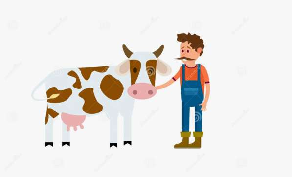 Скотник на молочную ферму