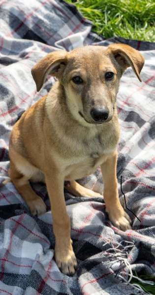 Сироте Марселю нужен дом в Москве