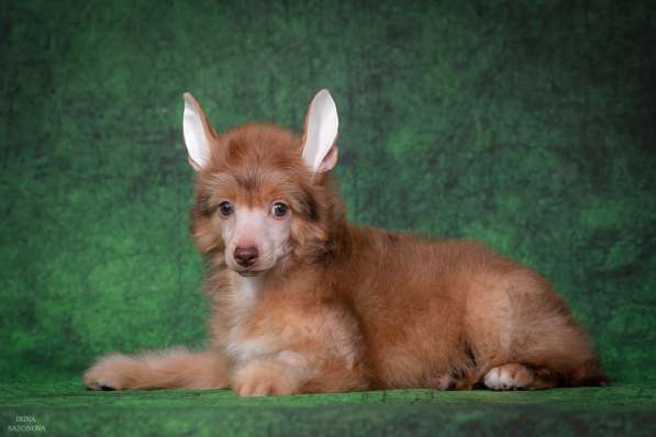 КХС в Москве фото 16