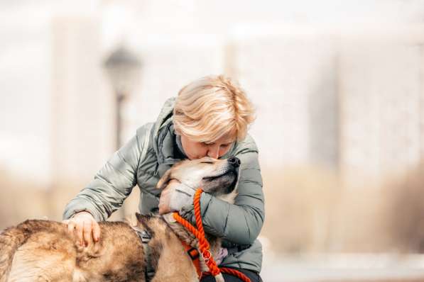 Ищет дом Ромео #ромео_дубоваяроща в Москве фото 40