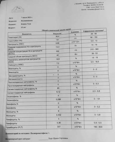 15-летняя Тося в поисках родителей в Москве фото 3