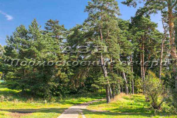 realty_mapper3.plot_in_locationПлощадь 19.00 сот.Есть Электричество, Газ. в Москве фото 4