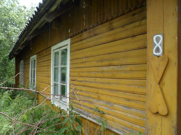 Дом в тихом и живописном месте, д.Борутишки,102 км от Минска в фото 10