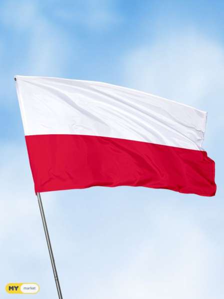 Рабочие приглашения/визы в Польшу в фото 5