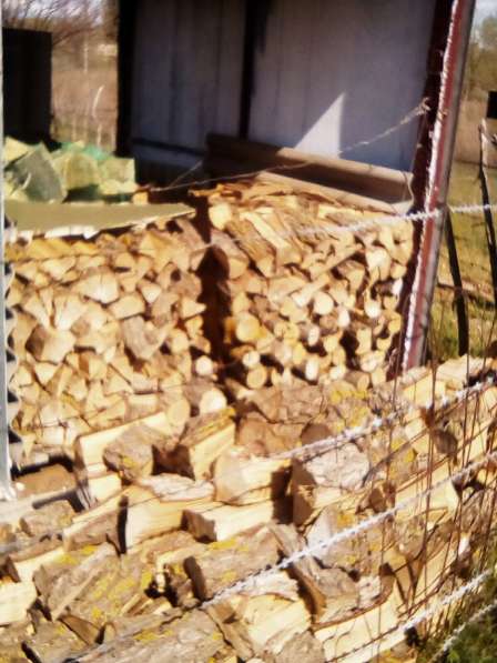 Продаются дрова в Калаче-на-дону фото 4